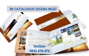 In catalogue tại Quảng Ngãi