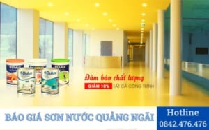 Báo giá thi công sơn nước Quảng Ngãi