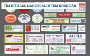 Tìm hiểu về các loại decal tem nhãn dán