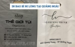 In bao bì ni lông tại Quảng Ngãi