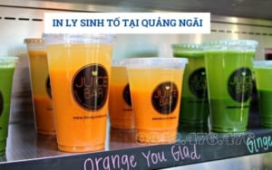 IN LY SINH TỐ TẠI QUẢNG NGÃI