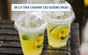 IN LY TRÀ CHANH TẠI QUẢNG NGÃI