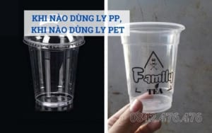 Khi nào dùng ly PP khi nào dùng ly PET