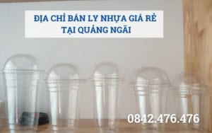 ĐỊA CHỈ BÁN LY NHỰA GIÁ RẺ TẠI QUẢNG NGÃI