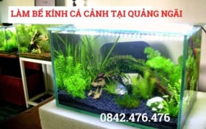 LÀM BỂ KÍNH CÁ CẢNH TẠI QUẢNG NGÃI