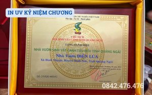 IN UV KỶ NIỆM CHƯƠNG